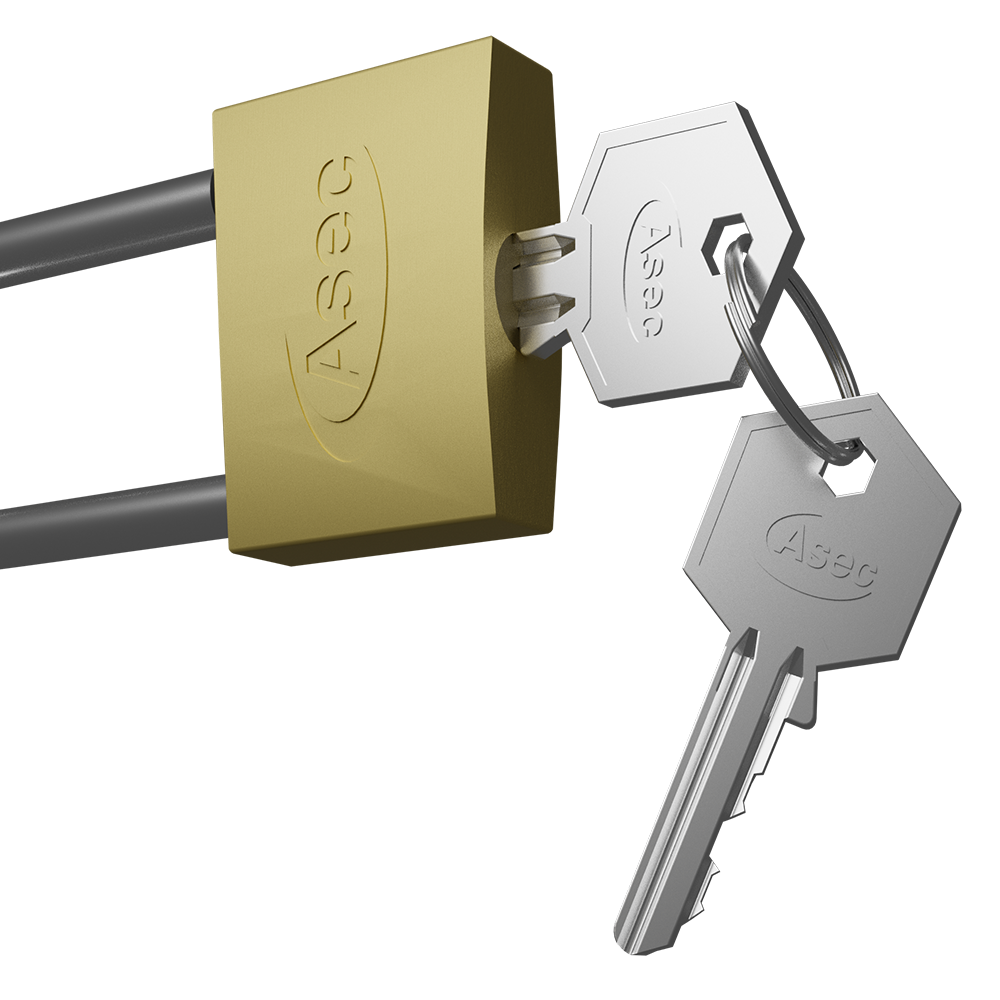 ASEC KA Long Shackle Brass Padlock