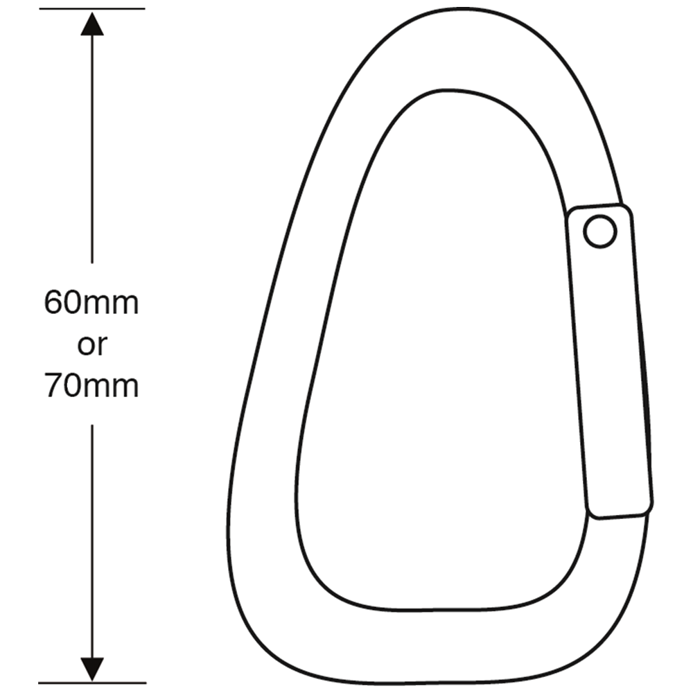 ASEC Metal Carabiner Key Ring