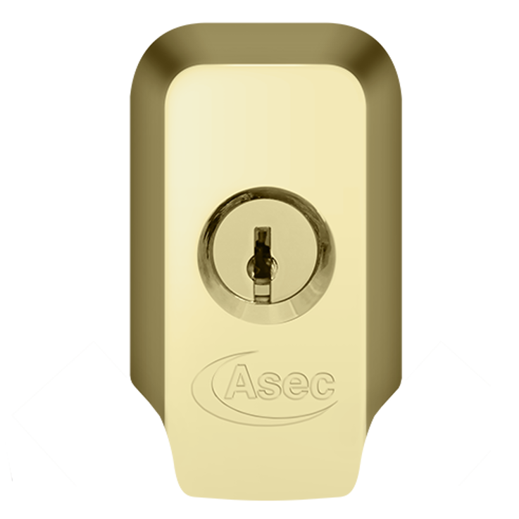 ASEC High Security Rim Cylinder Pull With Cylinder