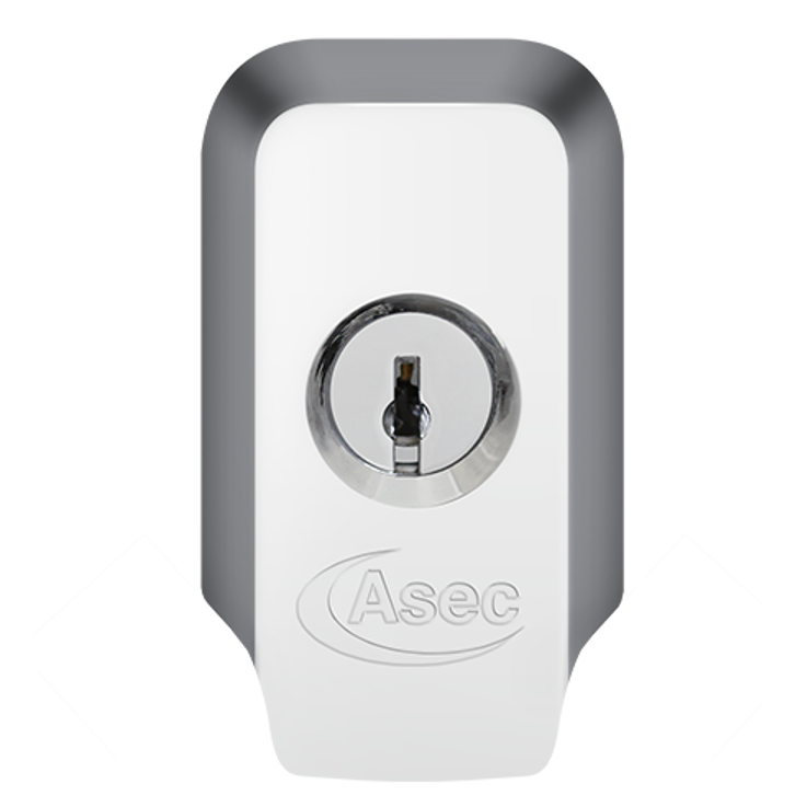 ASEC High Security Rim Cylinder Pull With Cylinder