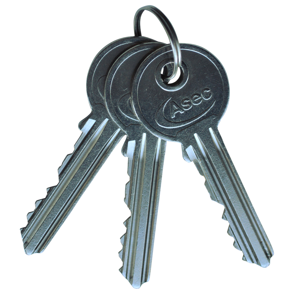 ASEC High Security Rim Cylinder Pull With Cylinder