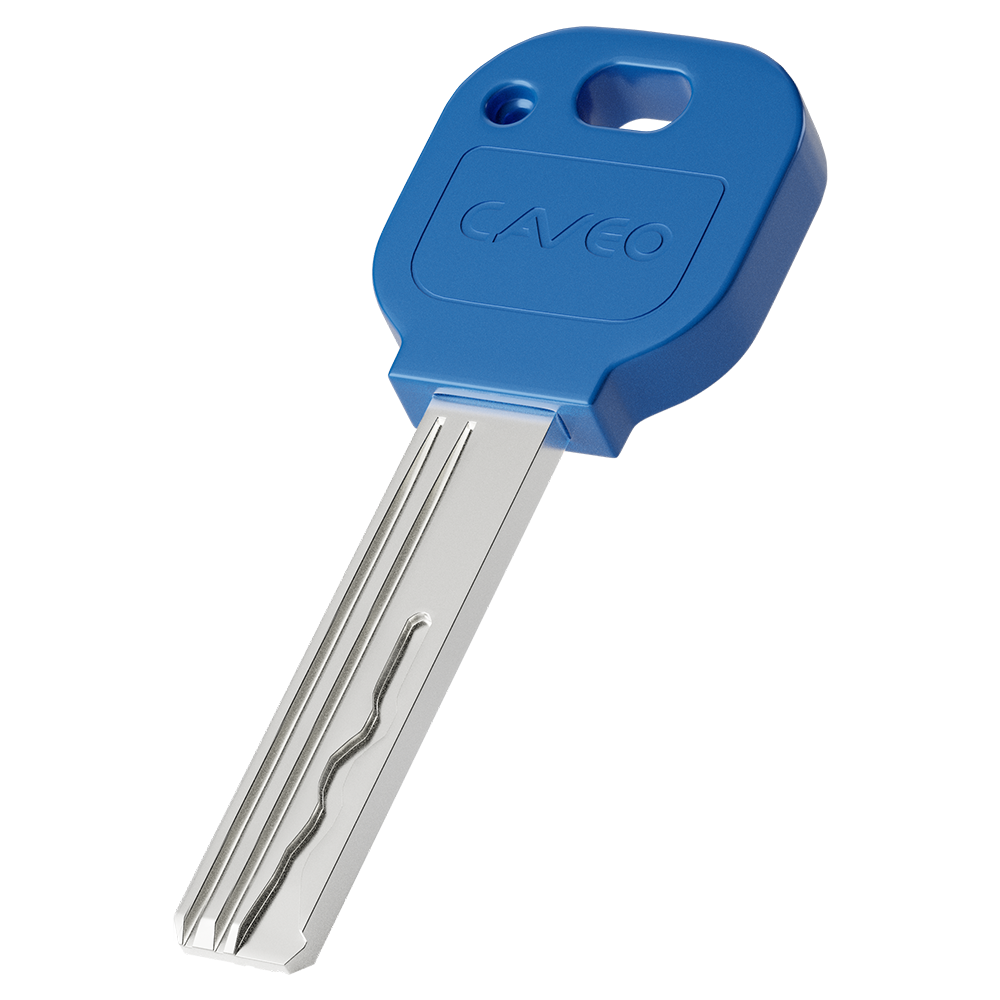 CAVEO Dimple Rim Cylinder Keyed Alike Pair