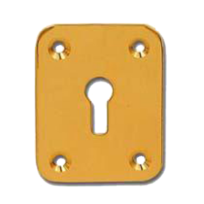 DORTREND 2151 Front Fix Escutcheon Polished Brass