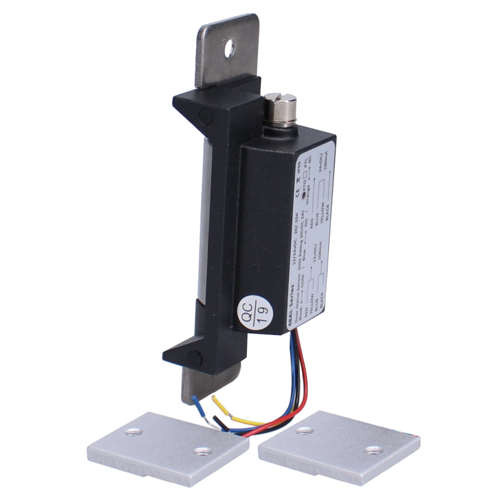 ALPRO AL110 Series 12V/24V DC Mortice Release
