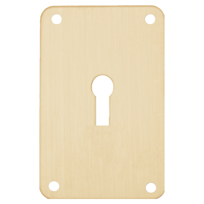 ASEC Screw On 45mm x 70mm UK Mortice Escutcheon GA - Gold