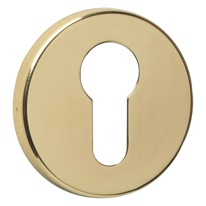 ASEC URBAN Concealed Fixing Euro Escutcheon Pro - Polished Brass
