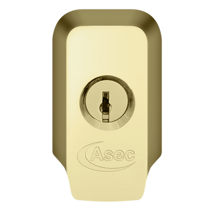 ASEC High Security Rim Cylinder Pull With Cylinder Polished Brass