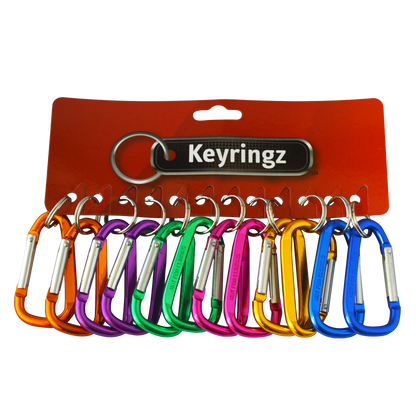 ASEC Metal Carabiner Key Ring Large - Assorted Colours