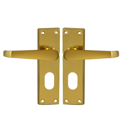 ASEC Victorian Plate Mounted Lever Furniture Oval Lever Lock Pro - Polished Brass