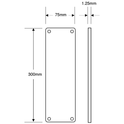 ASEC 75mm Wide Stainless Steel Push Finger Plate