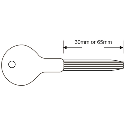 ASEC Door Security Rack Bolt Key