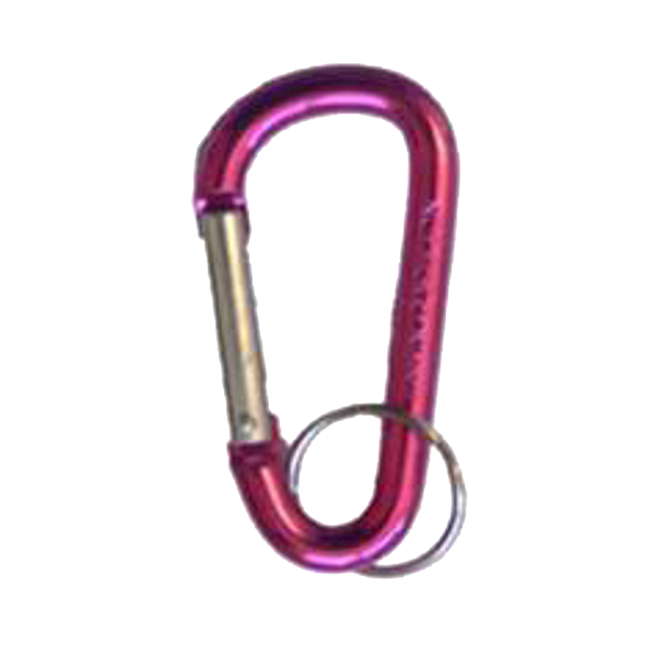 ASEC Metal Carabiner Key Ring
