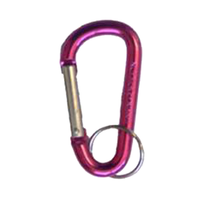 ASEC Metal Carabiner Key Ring