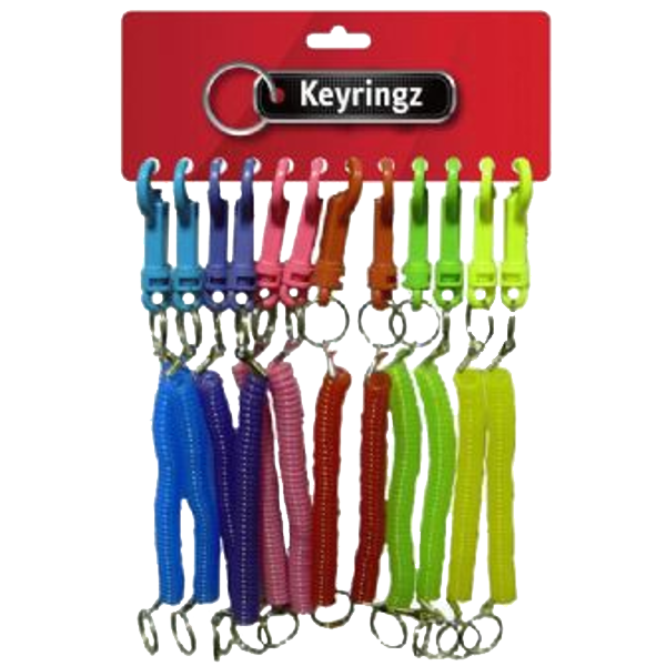 ASEC Spiral Key Ring