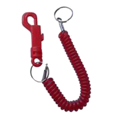 ASEC Spiral Key Ring