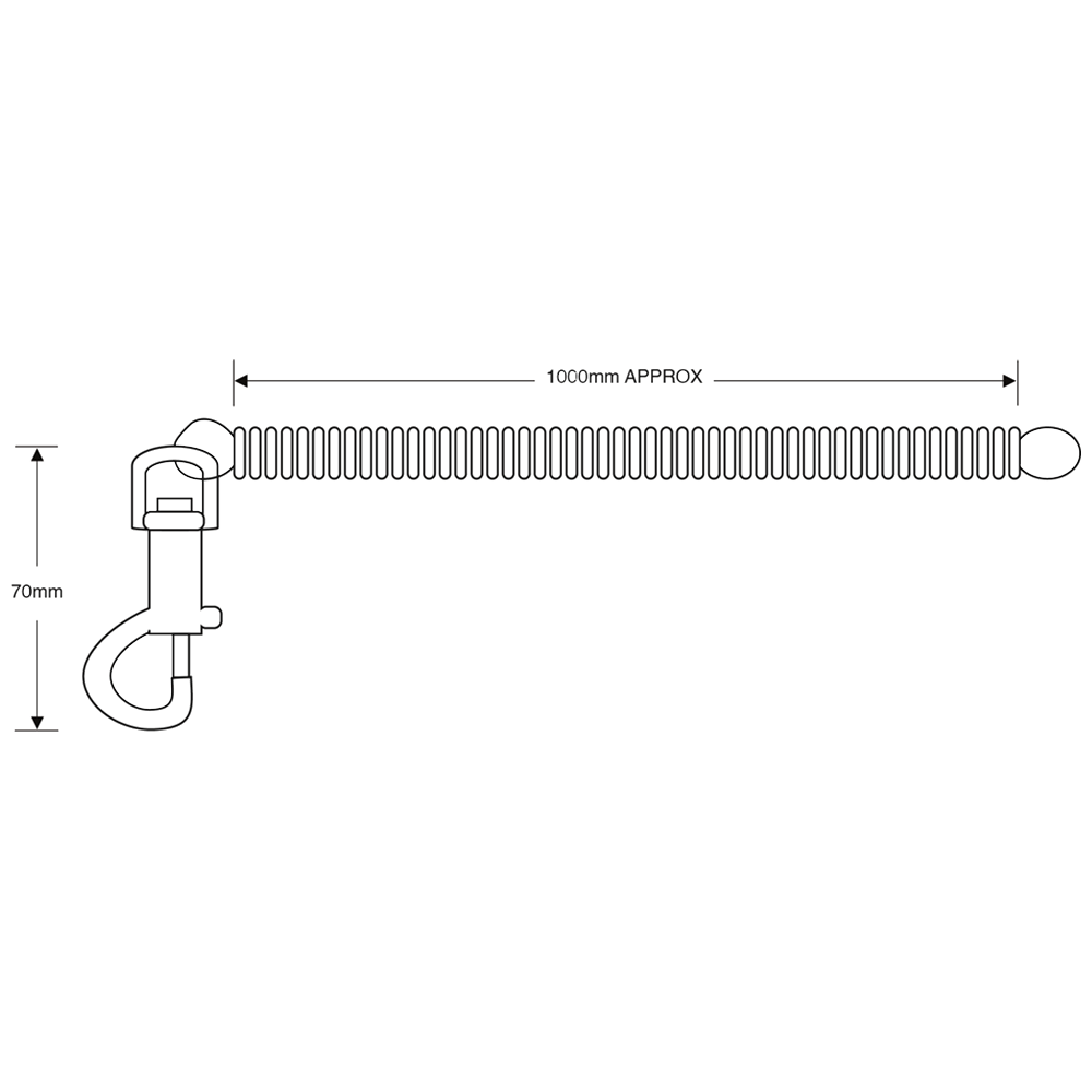 ASEC Spiral Key Ring
