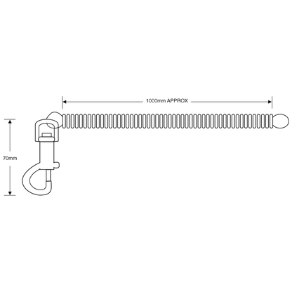 ASEC Spiral Key Ring
