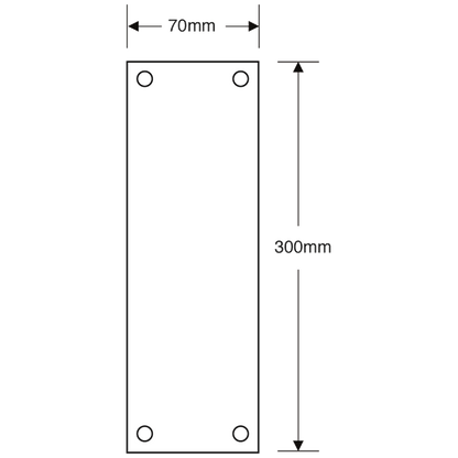 ASEC Victorian 70mm Wide Polished Brass Finger Plate