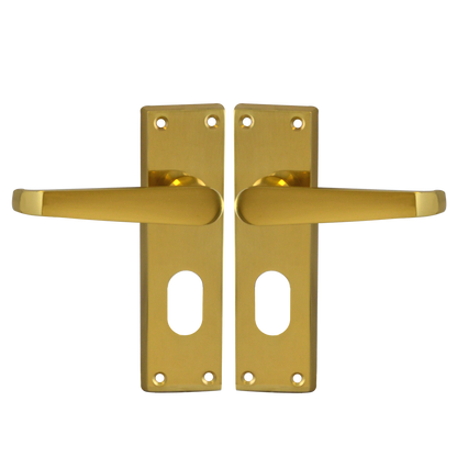 ASEC Victorian Plate Mounted Lever Furniture
