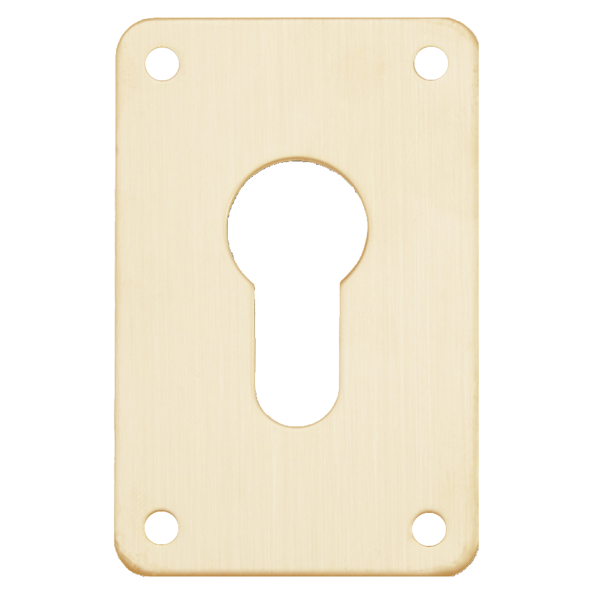 ASEC Screw On 45mm x 70mm Euro Escutcheon