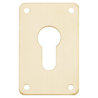 ASEC Screw On 45mm x 70mm Euro Escutcheon