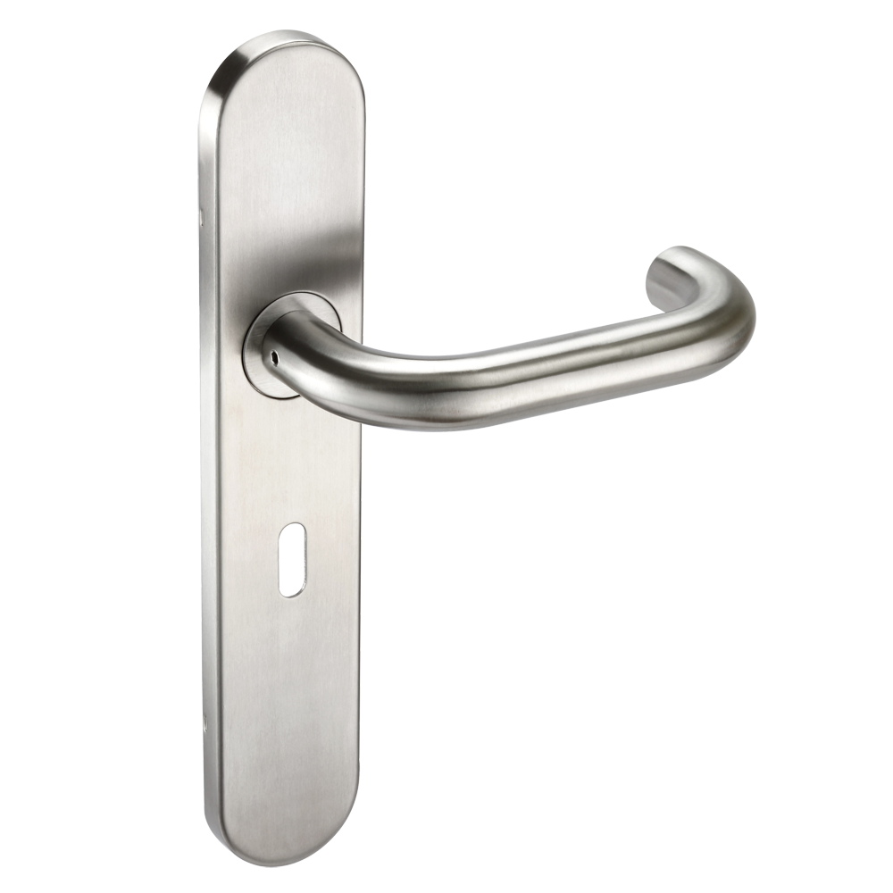 ASEC Radius Backplate Lever Furniture DDA