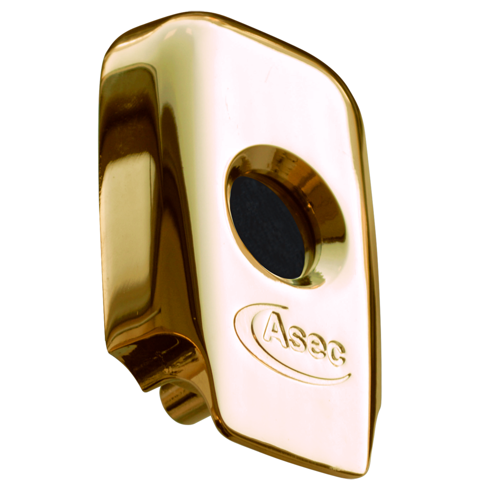 ASEC BS Nightlatch Housing