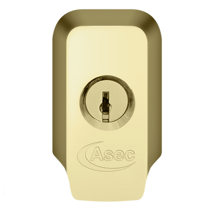 ASEC High Security Rim Cylinder Pull With Cylinder