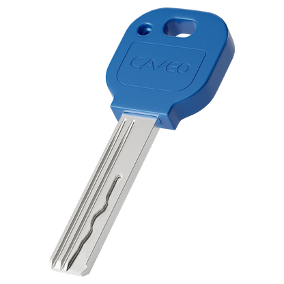 CAVEO Dimple Rim Cylinder Keyed Alike Pair