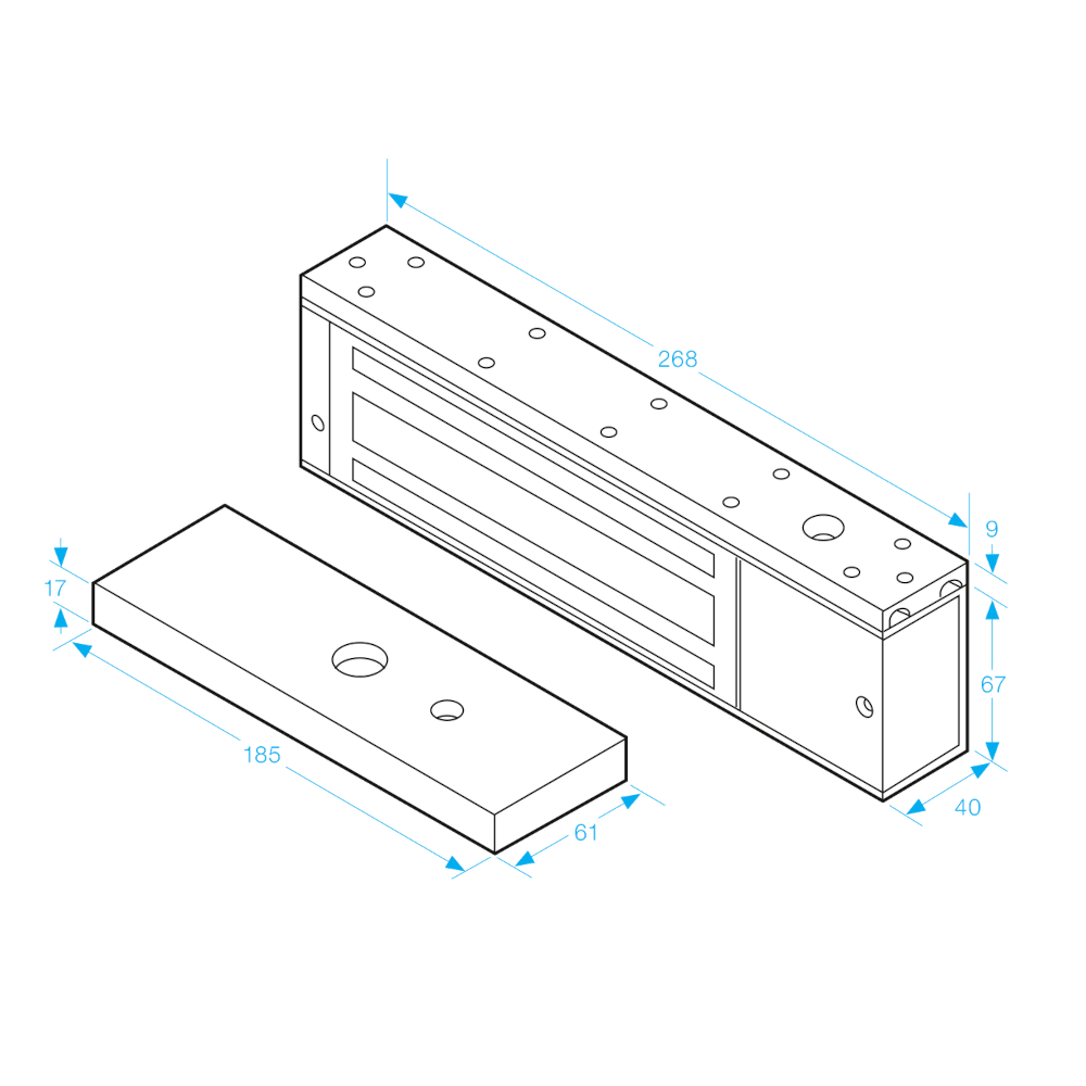 ICS A-Series 12/24VDC Standard Surface Magnet
