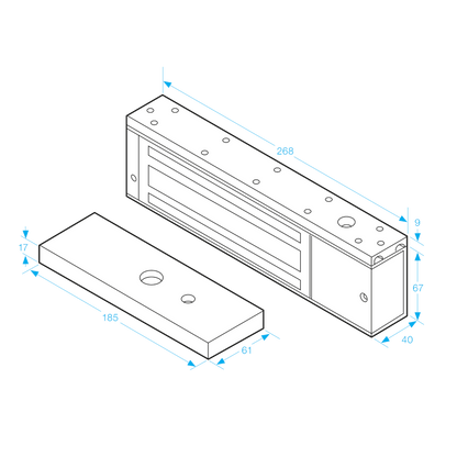 ICS A-Series 12/24VDC Standard Surface Magnet