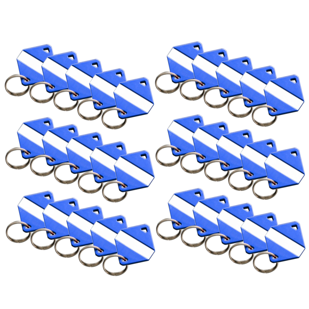 INTRATONE Mifare Electronic Key Ring Tags (Box of 30)