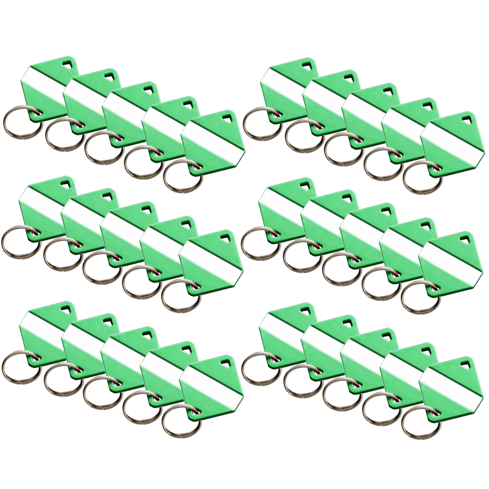 INTRATONE Mifare Electronic Key Ring Tags (Box of 30)
