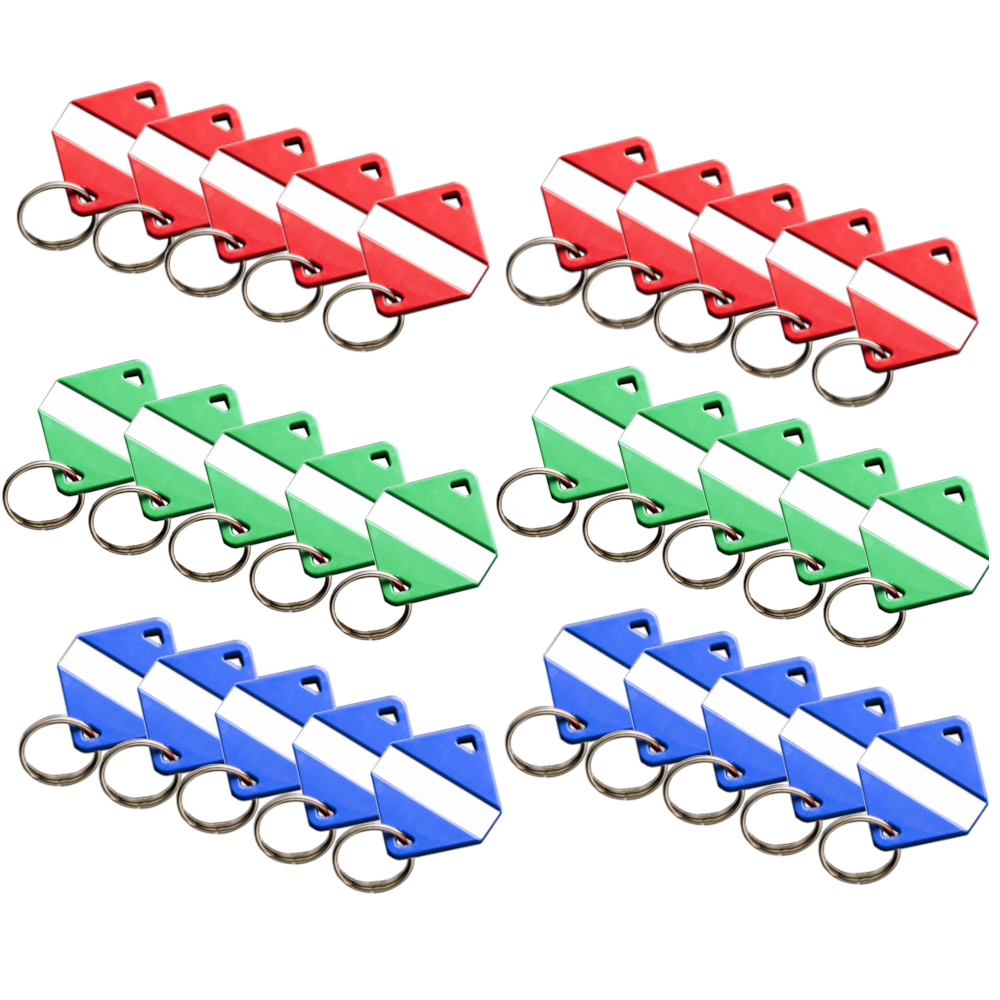 INTRATONE Mifare Electronic Key Ring Tags (Box of 30)