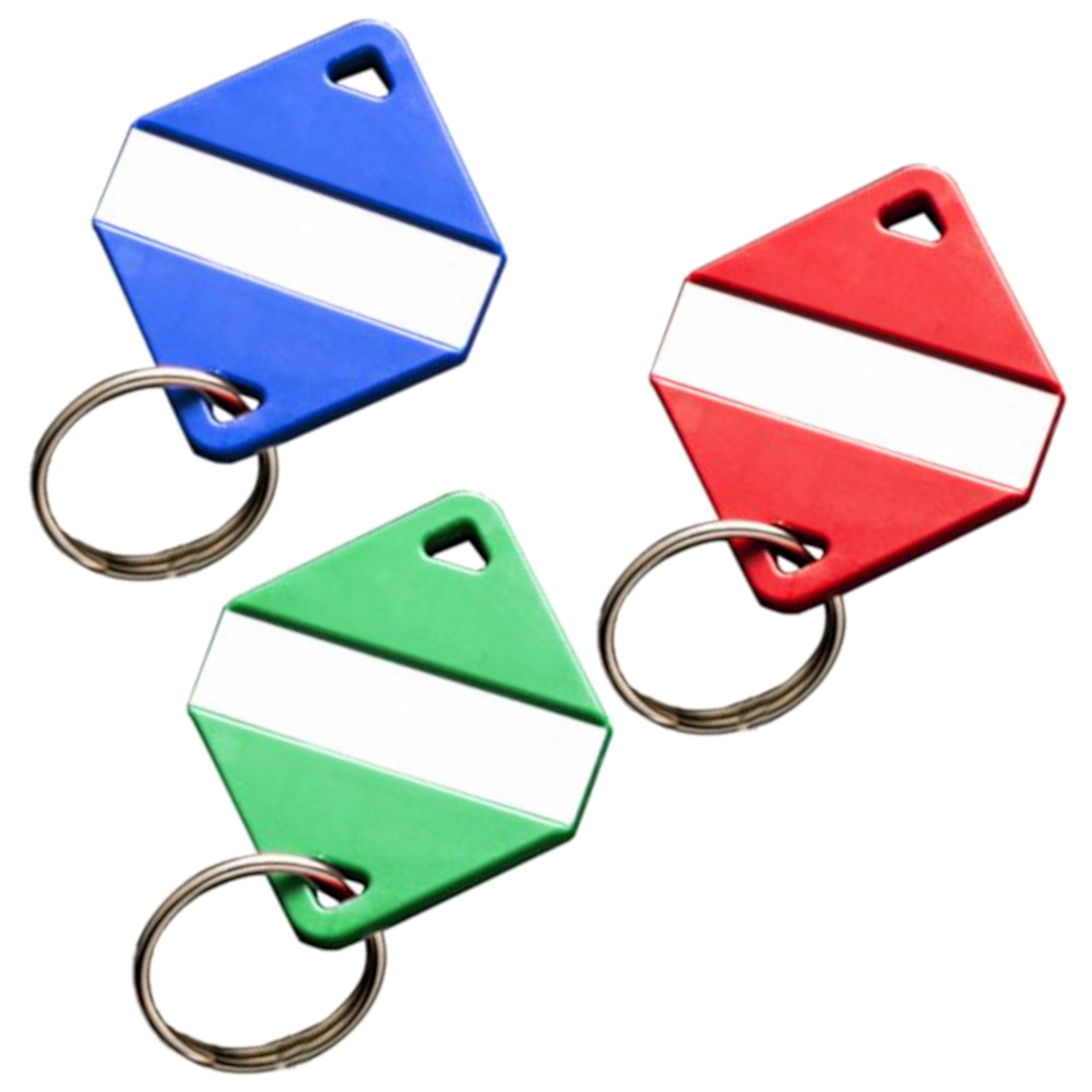 INTRATONE Mifare Electronic Key Ring Tags (Box of 30)