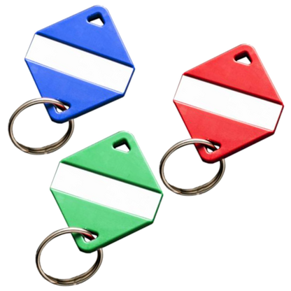 INTRATONE Mifare Electronic Key Ring Tags (Box of 30)
