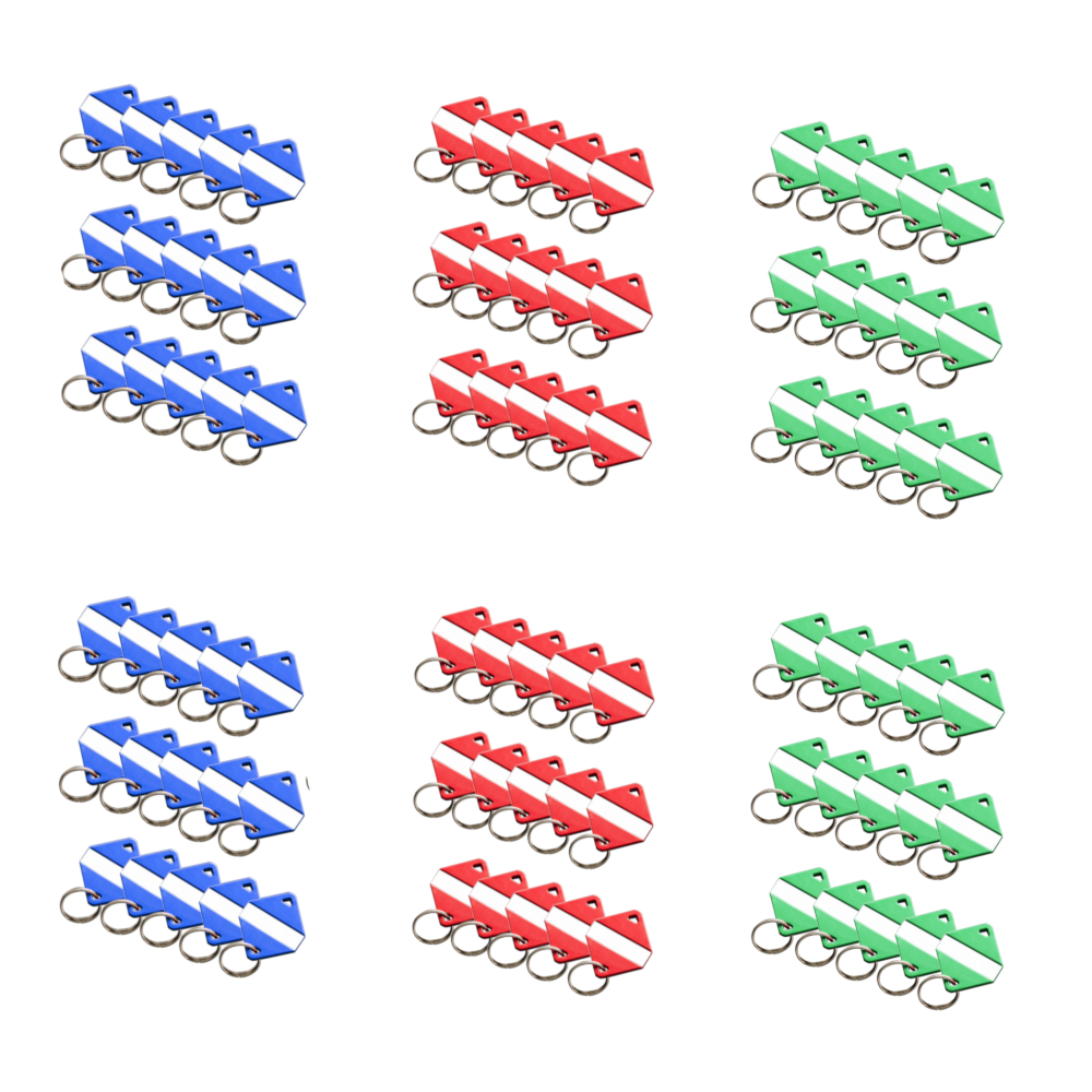 INTRATONE Mifare Electronic Key Ring Tags Red, Blue & Green (Box of 90 - 30 of Each Colour) With USB Programmer