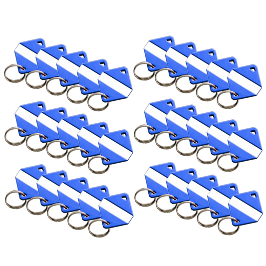 INTRATONE Mifare Electronic Key Ring Tags (Box of 30) 08-0113 - Blue