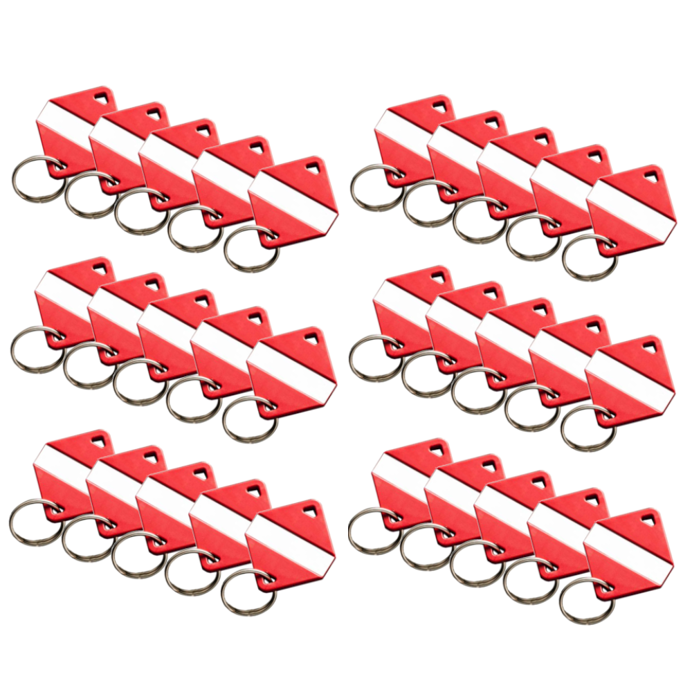 INTRATONE Mifare Electronic Key Ring Tags (Box of 30) 08-0114 - Red