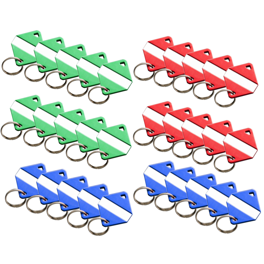 INTRATONE Mifare Electronic Key Ring Tags (Box of 30) Mixed 08-0116 - Various