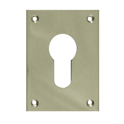 SOUBER TOOLS EE1 Front Fix Euro Escutcheon Satin Chrome