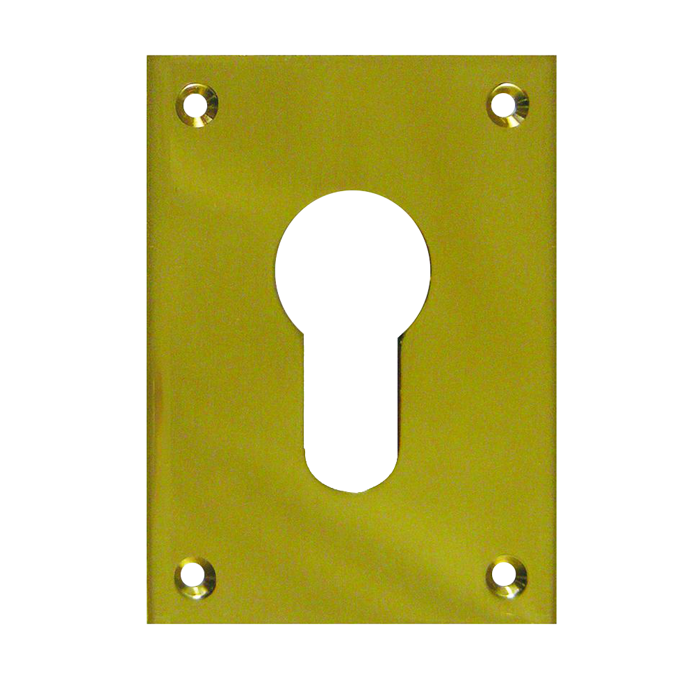 SOUBER TOOLS EE1 Front Fix Euro Escutcheon