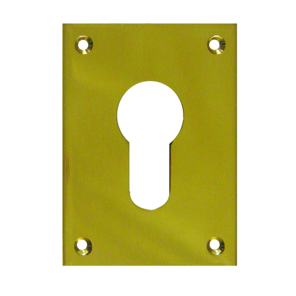 SOUBER TOOLS EE1 Front Fix Euro Escutcheon