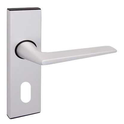 UNION 643 Raven Plate Mounted Lever Furniture